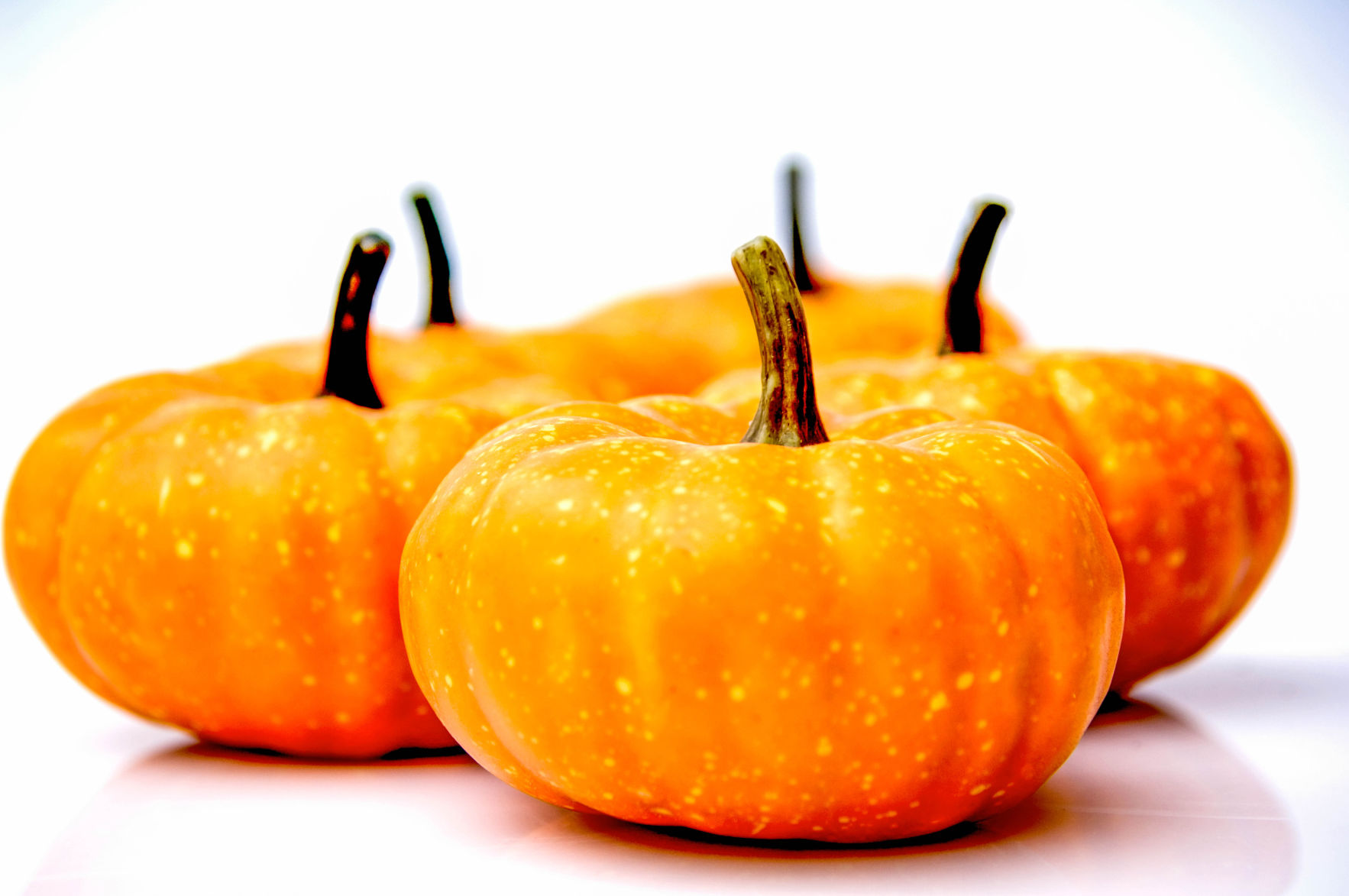 Little pumpkins.jpg